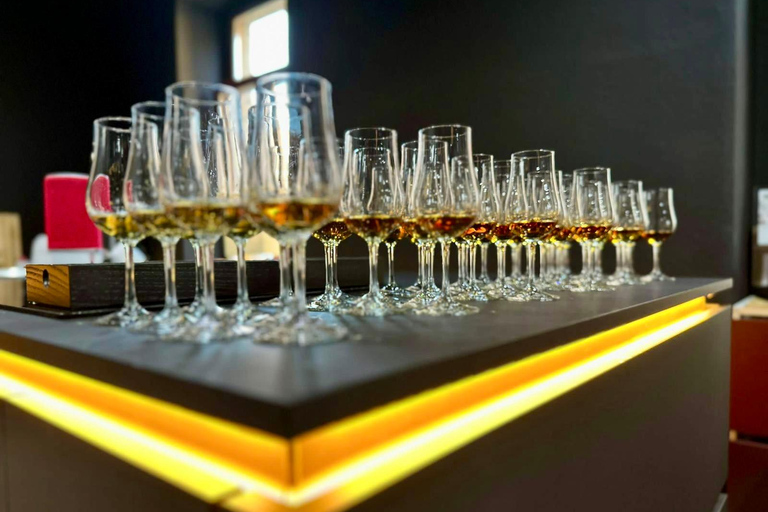 Dresden: Whisky Tasting Experience with Expert Guidance