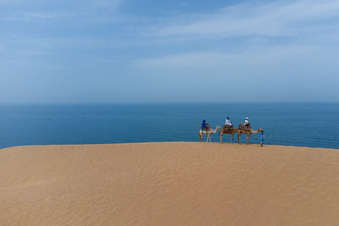 Depuis Agadir/Taghazout : Dunes de sable du Sahara avec transfert