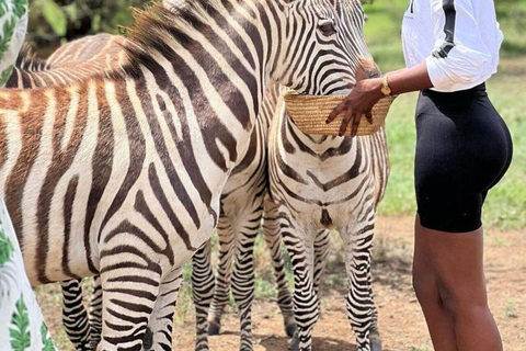 ZANZIBAR: Zakir Wildlife Park Feeding Giraffes, Zebra & More THIS OPTION FOR GUESTS STAYING FAR FROM SOUTH COAST AREAS