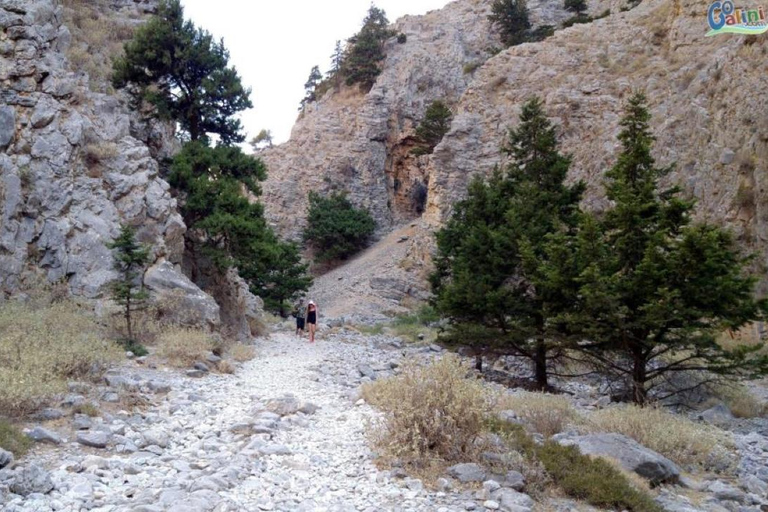 La visite privée des gorges d&#039;ImbrosVisite privée des gorges d&#039;Imbros