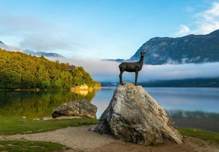From Ljubljana: Bled & Bohinj Day Trip + Local Picnic Treat