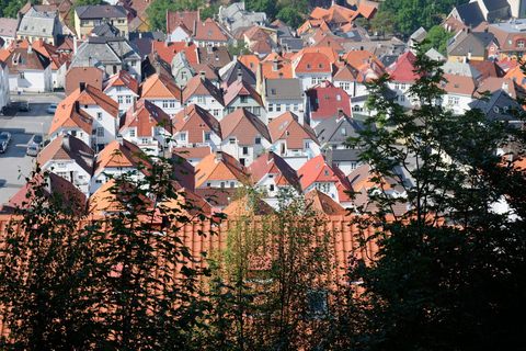 Bergen: Urban Mountain Hiking and History Tour