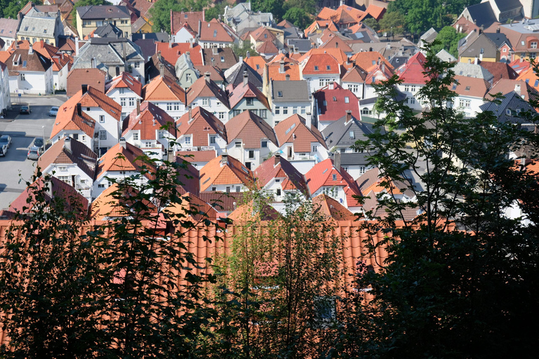 Bergen: Urban Mountain Hiking and History Tour