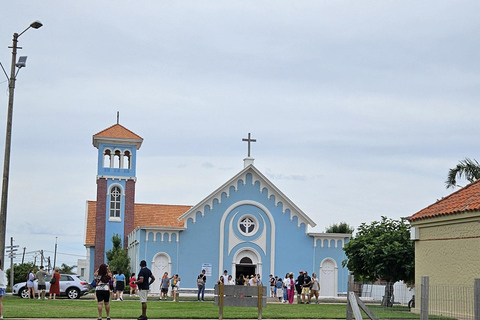 Punta del Este: VIP City Tour (Group)