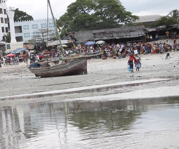 Viagem privada de 1 dia a Bagamoyo com almoço