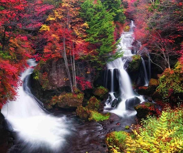 Tokyo: Nikko Private Day Tour with English Speaking Driver