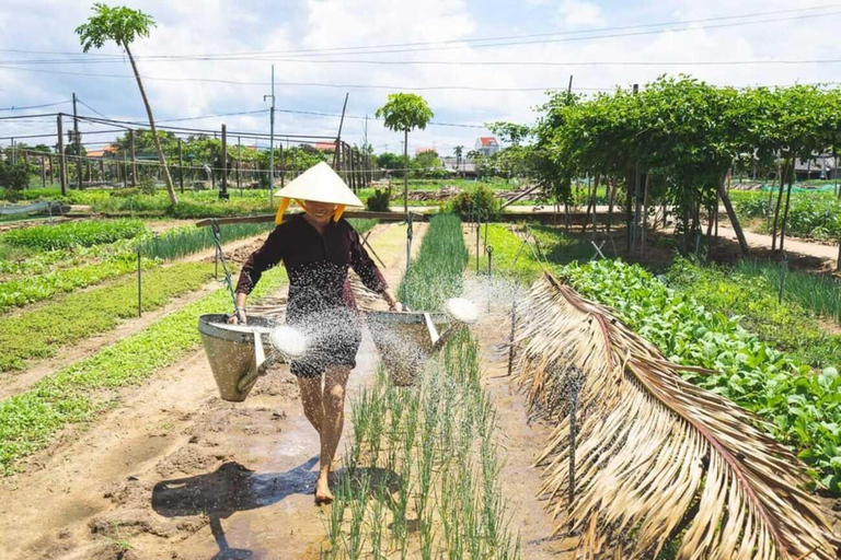 Hoi An: Mandenboot en landbouw- en kookles in Tra QueEen luxe groep vertrekt uit Hoi An