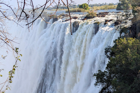 Victoria Falls Cross-Border Tour:Big Tree & Historic Bridge
