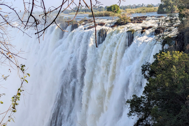 Victoria Falls Cross-Border Tour:Big Tree & Historic Bridge