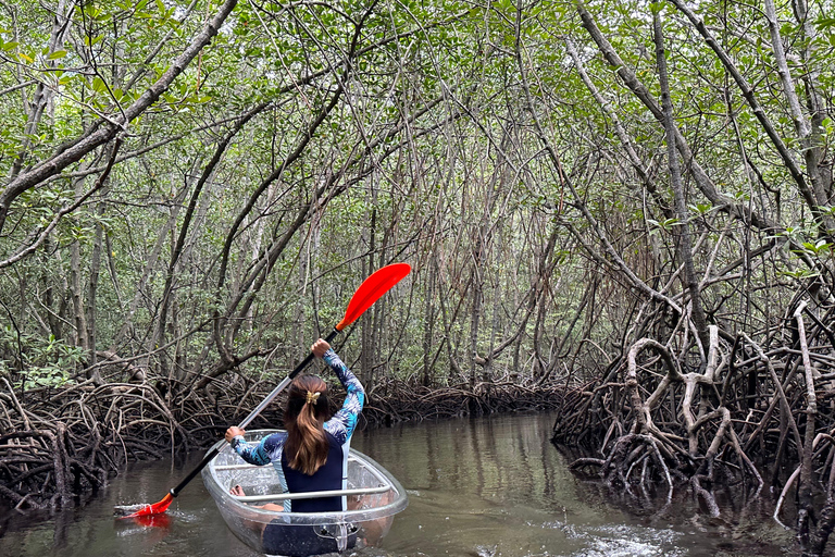 From Lembongan: Explore Mangrove with Kayak/Paddleboard/Boat Discover Mangrove Forest Tour by Paddle Board