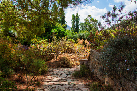 MUCBO | Jardí Botànic de Sóller - Balearic Museum of Natural Sciences