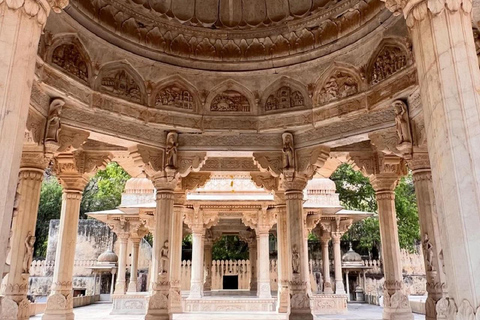 Jaipur: Full Day Trip With Car And Guide Jaipur: Full Day Trip With Car And Guide