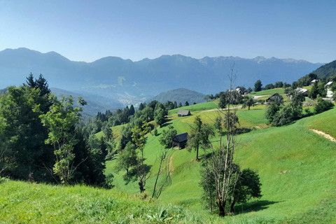 Von Ljubljana aus: Triglav National Park TourAb Ljubljana: Tour zum Nationalpark Triglav