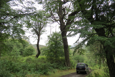 San Martín de los Andes: a 4x4 guided tour to the Mallin