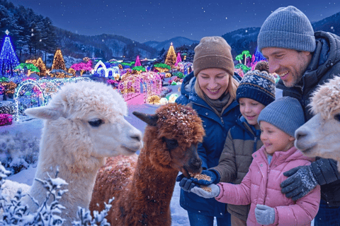 Nami and K-Garden with Opt. Alpaca Winter Tour from Seoul Alpaca Group Tour, meet at Hongdae