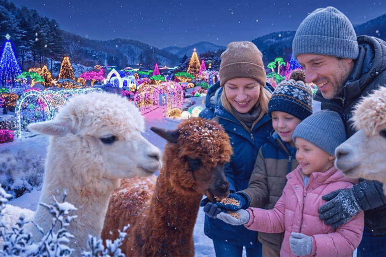 Nami and K-Garden with Opt. Alpaca Winter Tour from Seoul Alpaca Group Tour, meet at Hongdae