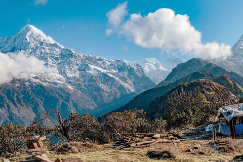 Pokhara: 4 - dagars fascinerande Mardi Himal guidad vandring