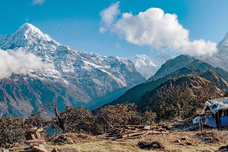 Pokhara: 4 dias de caminhada guiada pelo Mardi Himal