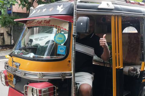 Kochi: Tuk-Tuk Tour with Cruise Ship Terminal Pickup