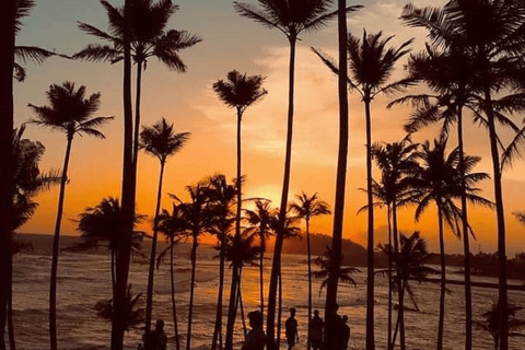Mirissa: Snorkel, Secret Beach & Sunset at Coconut Hill Mirissa Coastal Discovery : Without Pickup & Drop off