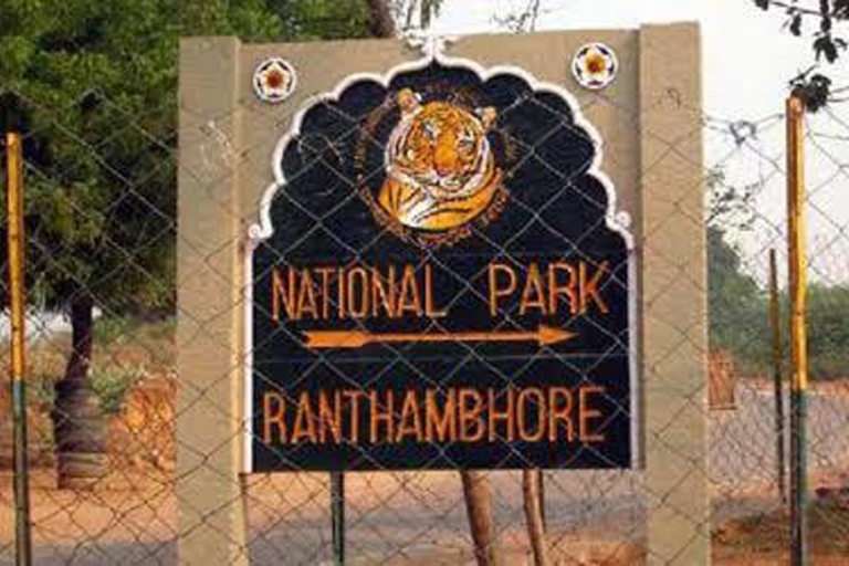 Vanuit Delhi: 3-daagse tijgersafari in RanthamboreVanuit Delhi: 3-daagse rondleiding door Ranthambore Tiger-safari