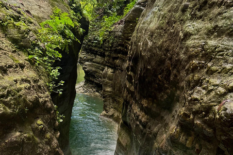 Privado: Aventura en las cataratas de Damajagua con caminata por la selvaPrivado: Aventura en las cascadas de Damajagua con caminata por la selva