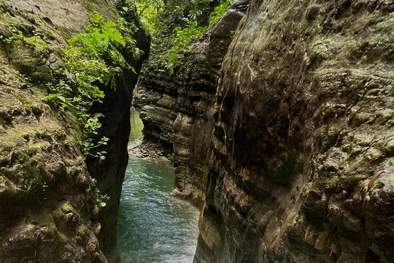 Privado: Aventura en las cataratas de Damajagua con caminata por la selvaPrivado: Aventura en las cascadas de Damajagua con caminata por la selva