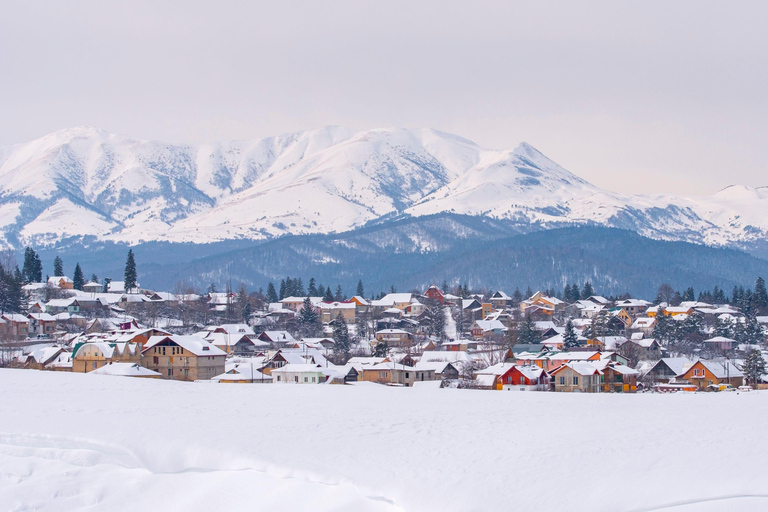 From Tbilisi: Borjomi and Bakuriani Ski resort Day Trip ❄️☃️
