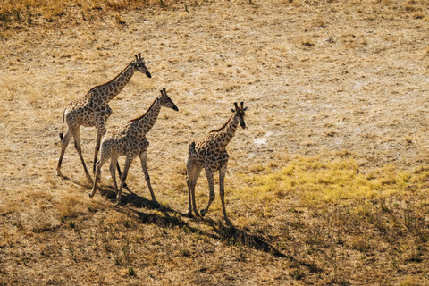 Maun: 60 Minute Doors-Off Scenic Flight Maun: 60 Minute Doors-Off Scenic Flight with Pick-Up