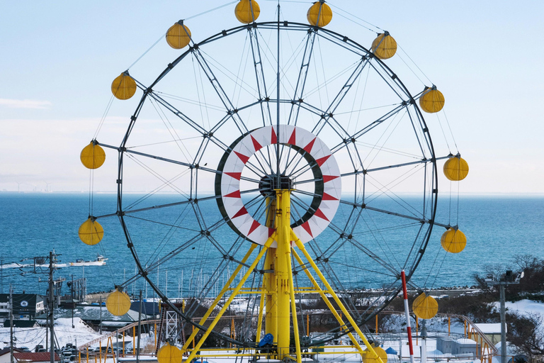 Hokkaido tour❘Otaru,ShiroiKoibito Park,SnowLand from Sapporo Sapporo TV Tower Departure B Otaru Aquarium