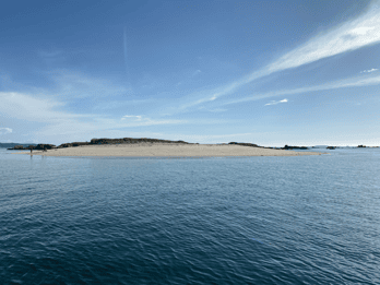 Ría de Arousa: Daytime or Sunset Sailboat Cruise with drinks