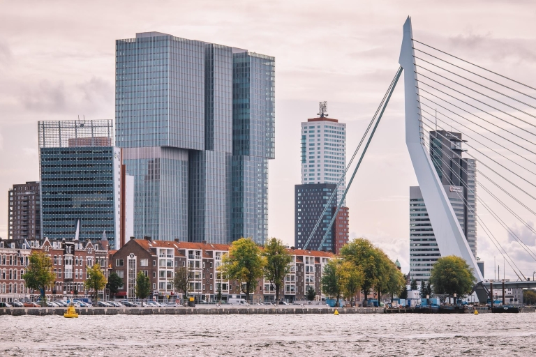 Rotterdam: Paseo exprés con un local en 90 minutos