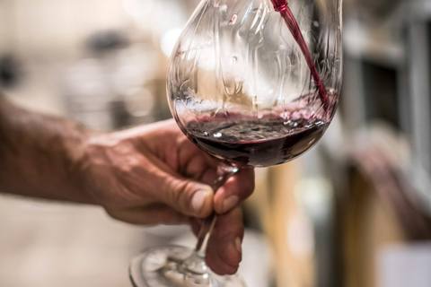 Desde Lyttelton: excursión en tierra con almuerzo degustación.Desde Lyttelton: excursión en tierra con almuerzo degustación