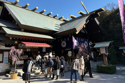 Tokio: privétour met gids langs tempels en heiligdommen per autoPremium SUV voor 3 personen