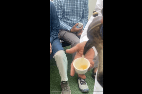 Makkah or Jeddah to Al-Hada, Al-Shafa, and Taif City Tour A journey full of experiences، learn about Saudi hospitality