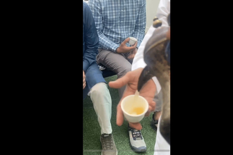 Makkah or Jeddah to Al-Hada, Al-Shafa, and Taif City Tour A journey full of experiences، learn about Saudi hospitality