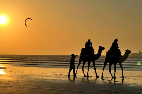 From Marrakech: Essaouira Day Trip with Free Time to Explore From Marrakech: Private Day Trip to Essaouira