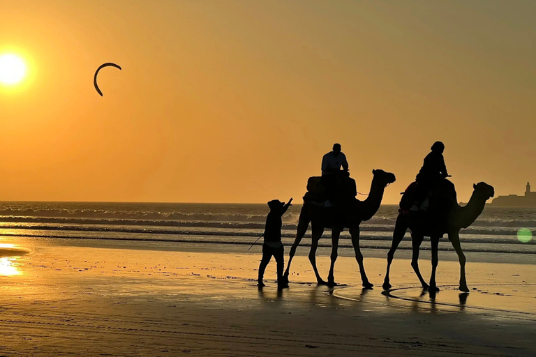 From Marrakech: Essaouira Day Trip with Free Time to Explore From Marrakech: Private Day Trip to Essaouira