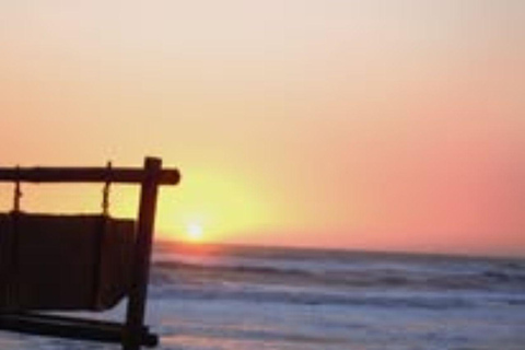 Walvis Bay: Sandwich Harbour & Catamaran Combo