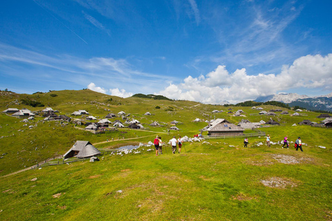 Ljubljana: Velika Planina and Logar Valley Hiking Tour
