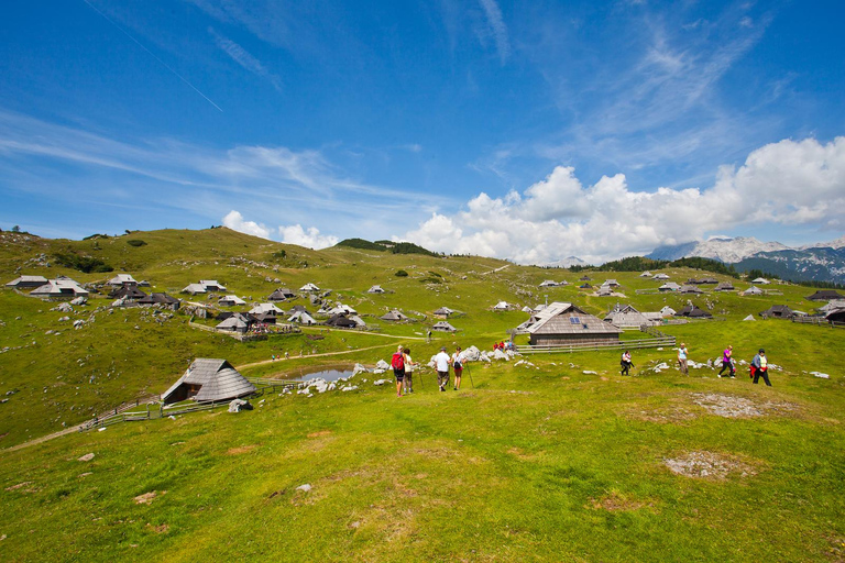 Ljubljana: Velika Planina and Logar Valley Hiking Tour