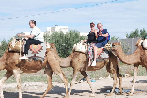 Hammamet: Camel Ride, Lunch, and Quad Biking Tour