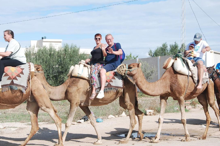 Hammamet: Camel Ride, Lunch, and Quad Biking Tour