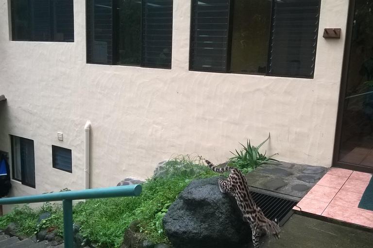 San José: La Fortuna Transfer with Coffee Tour at Doka Farm