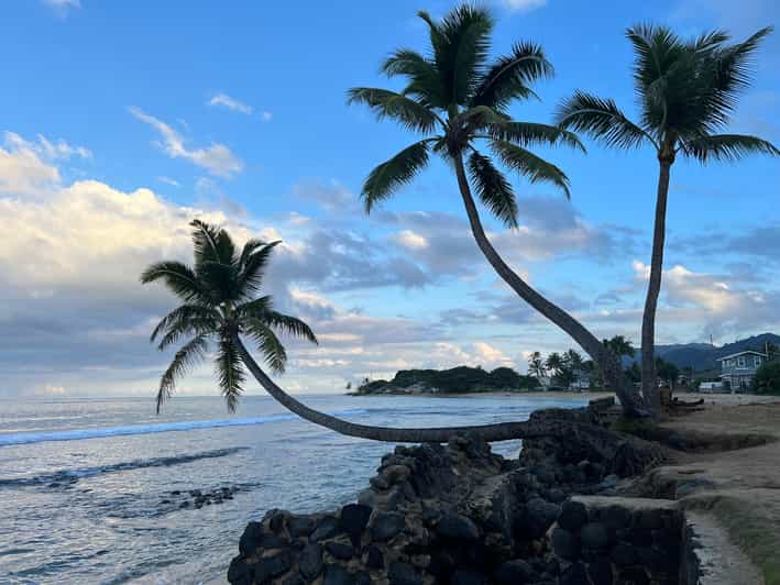 Oahu Private North Shore Tour w/ Waimea Valley & Waterfall GetYourGuide