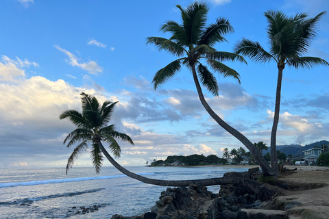 Oahu: Wycieczka prywatna Waikiki - Pełny krąg wysp - Możliwość dostosowania
