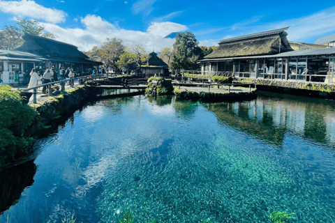 Tokyo: Monte Fuji e Hakone Tour privato flessibile e a basso prezzo