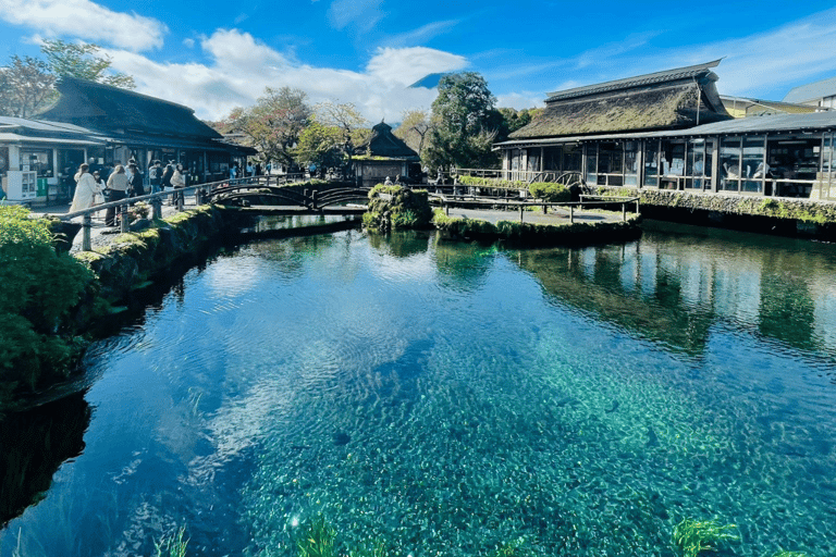 Tokyo: Mount Fuji and Hakone Private Flexible Tour Tour in a Leisure Vellfire