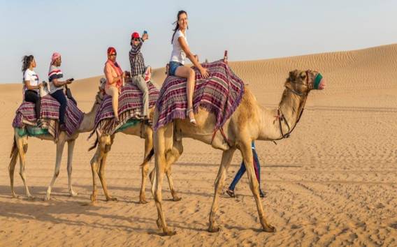 Dubai: Arabische Wüstensafaris, Abendessen, Kamelritte und Shows