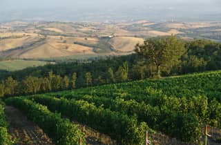 Besuch im Panoramakeller mit Verkostung preisgekrönter Bio-Weine